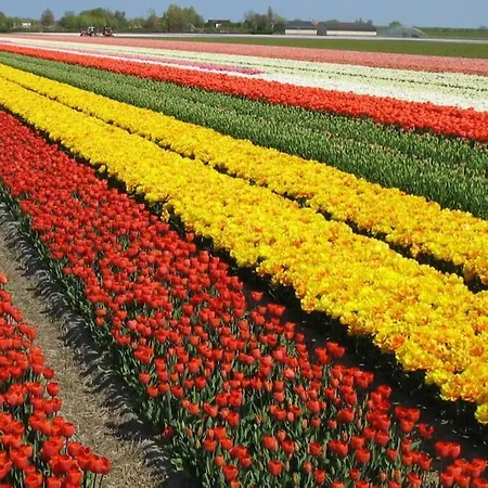 Casa de Férias De Keizerskroon 240