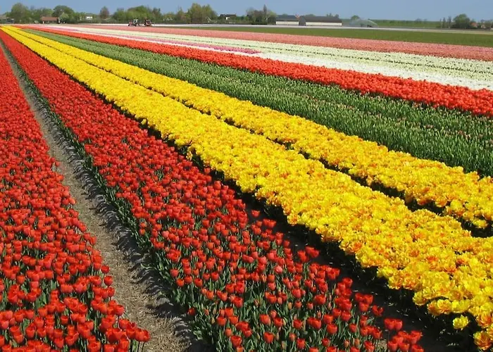 Ferienhaus De Keizerskroon 240