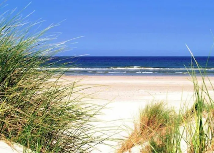 De Keizerskroon 240 Ferienhaus *